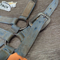 Thick Nylon Halter *fair, dirt, faded, frays, threads, snags
