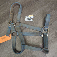 Thick Nylon Halter *fair, dirt, faded, frays, threads, snags
