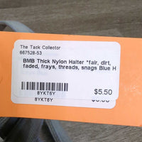 Thick Nylon Halter *fair, dirt, faded, frays, threads, snags
