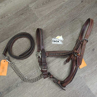 Western Showmanship Leather Halter, Chain Lead Shank, Bling *vgc, clean, rubs, scrapes, missing bling, edge rubs
