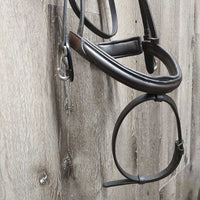 Rsd Padded Training Bridle, removable flash *xc/vgc, mnr dirt, dents, extra holes, sticky brow, v. mnr gouge
