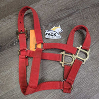Thick Nylon Halter *vgc/gc, clean & mnr dirty, wavy
