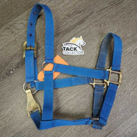 Stiff Nylon Halter , Spring Snap *gc, dirty, stains, thread, peeled/bubbled, rust
