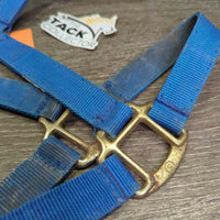 Stiff Nylon Halter , Spring Snap *gc, dirty, stains, thread, peeled/bubbled, rust

