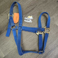 Stiff Nylon Halter *gc, dirty, stains, rubs, frays, scrapes, hole frays, older, twist
