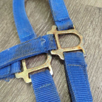 Stiff Nylon Halter *gc, dirty, stains, rubs, frays, scrapes, hole frays, older, twist
