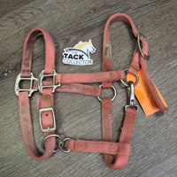 Soft Narrow Thick Nylon Halter, adj, snap *gc/fair, v.dirty, faded, rubs, stains, edge scrapes
