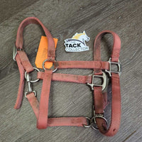 Soft Narrow Thick Nylon Halter, adj, snap *gc/fair, v.dirty, faded, rubs, stains, edge scrapes

