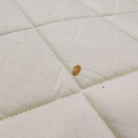 Thick Quilt Jumper Pad, 2x piping *gc, clean, stains, mnr hair, rubs, holey edges, puckers, threads
