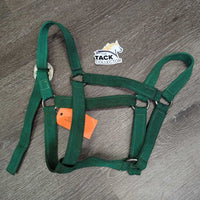 Nylon Halter, Slide Buckle *gc, clean & stains?dirty, rubs, older
