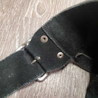 Pr Suede Full Chaps, Plastic Zipper *gc, rubs, faded, dirt, stiff, cut off fringe
