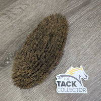 Short Hair Bristle Body Brush, handle *gc, dirty, scrapes
