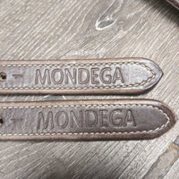 Narrow Thick Nylon Lined Stirrup Leathers *gc/fair, v.rubbed & torn, faded, dents, hole/torn edge
