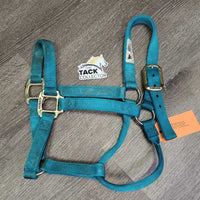 Thick Stiff Nylon Halter *gc/fair, dirty, rubs, marker, stains, rubs, frays
