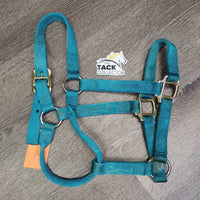 Thick Stiff Nylon Halter *gc/fair, dirty, rubs, marker, stains, rubs, frays
