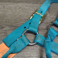 Thick Stiff Nylon Halter *gc/fair, dirty, rubs, marker, stains, rubs, frays
