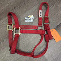 Thick Stiff Nylon Halter *gc/fair, dirty, rubs, marker, stains, rubs, frays
