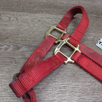 Thick Stiff Nylon Halter *gc/fair, dirty, rubs, marker, stains, rubs, frays
