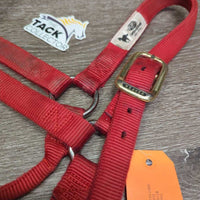 Thick Stiff Nylon Halter *gc/fair, dirty, rubs, marker, stains, rubs, frays
