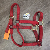Thick Stiff Nylon Halter *gc/fair, dirty, rubs, marker, stains, rubs, frays
