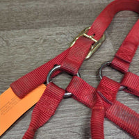Thick Stiff Nylon Halter *gc/fair, dirty, rubs, marker, stains, rubs, frays
