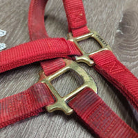 Thick Stiff Nylon Halter *gc/fair, dirty, rubs, marker, stains, rubs, frays
