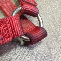 Thick Stiff Nylon Halter *gc/fair, dirty, rubs, marker, stains, rubs, frays
