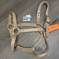 Thick Stiff Nylon Halter *gc, stains, faded, rubs, frayed edges
