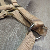 Thick Stiff Nylon Halter *gc, stains, faded, rubs, frayed edges

