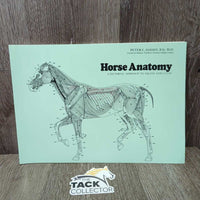 Horse Anatomy by Peter C. Goody *like new
