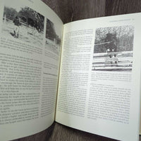 Lungeing and Long-Reining by Jennie Loriston-Clarke *vgc, mnr rubs, torn corners & edges
