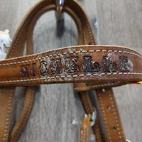 Wide Thick Headstall "Michelle" *gc/fair, older, mold?film, dry, stiff, stains, missing screw, loose stitching
