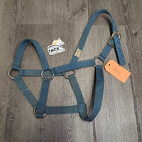 Thick Stiff Nylon Halter *fair, dirty, faded, scraped, rubs, chews, frays
