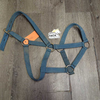 Thick Stiff Nylon Halter *fair, dirty, faded, scraped, rubs, chews, frays

