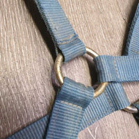 Thick Stiff Nylon Halter *fair, dirty, faded, scraped, rubs, chews, frays
