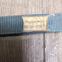 Thick Stiff Nylon Halter *fair, dirty, faded, scraped, rubs, chews, frays
