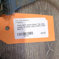 Thick Stiff Nylon Halter *fair, dirty, faded, scraped, rubs, chews, frays
