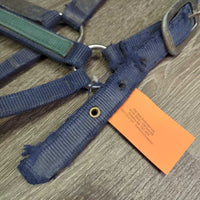 Thick Nylon Halter *fair, dirt, stains, frays, faded, rubs, older, torn holes, unstitched end
