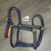 Thick Nylon Halter *fair, dirt, stains, frays, faded, rubs, older, torn holes, unstitched end
