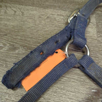 Thick Nylon Halter *fair, dirt, stains, frays, faded, rubs, older, torn holes, unstitched end
