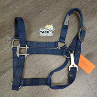 Thick Nylon Halter, spring snap *gc, dirty, stains, rubs, hairy, smells
