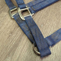 Thick Nylon Halter, spring snap *gc, dirty, stains, rubs, hairy, smells
