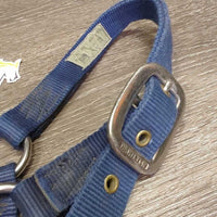 Thick Nylon Halter, spring snap *gc, dirty, stains, rubs, hairy, smells
