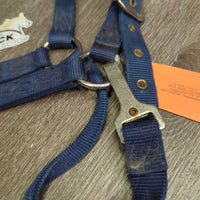 Thick Nylon Halter, spring snap *gc, dirty, stains, rubs, hairy, smells
