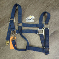 Thick Nylon Halter, spring snap *gc, dirty, stains, rubs, hairy, smells
