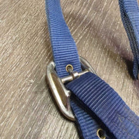 Thick Nylon Halter, spring snap *gc, dirty, stains, rubs, hairy, smells
