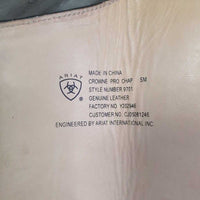 Leather Half Chaps, Back Zippers, bag *xc, clean, mnr dirt, rubs & stains
