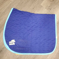 Thin Quilt Baby Pad *gc, clean, pills, mnr stains, puckers, threads, rubs, faded, hair
