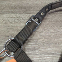 Nylon Halter, adj, snap, Padded Crown *gc, dirt, faded, residue
