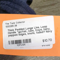 Thick Padded Lunge Line, Loop Handle *gc/fair, rubs, frays, hairy, popped edges, knots, faded?
